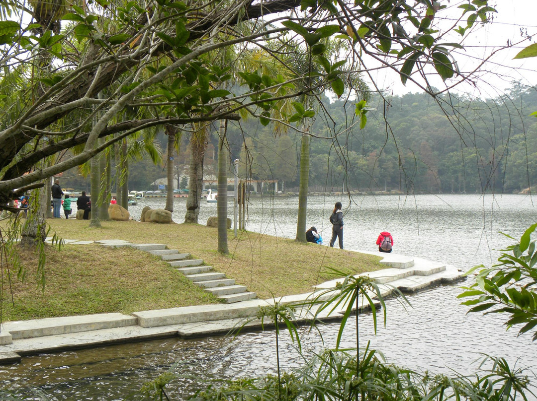 仙湖植物园-深圳市必去景点