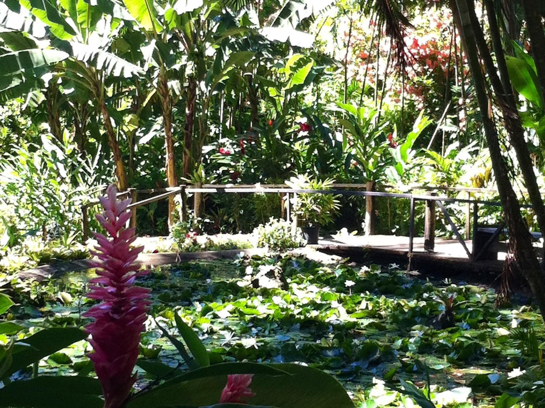 巨人的沉睡花园-纳迪市必去景点