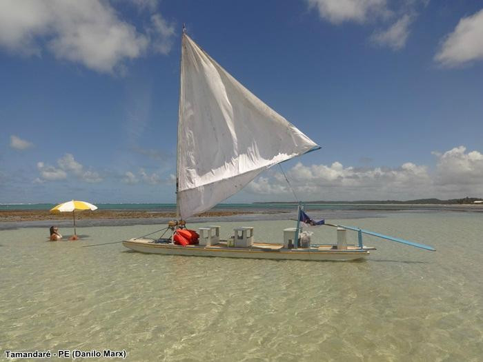 Praia de Tamandare-Tamandare必去景点