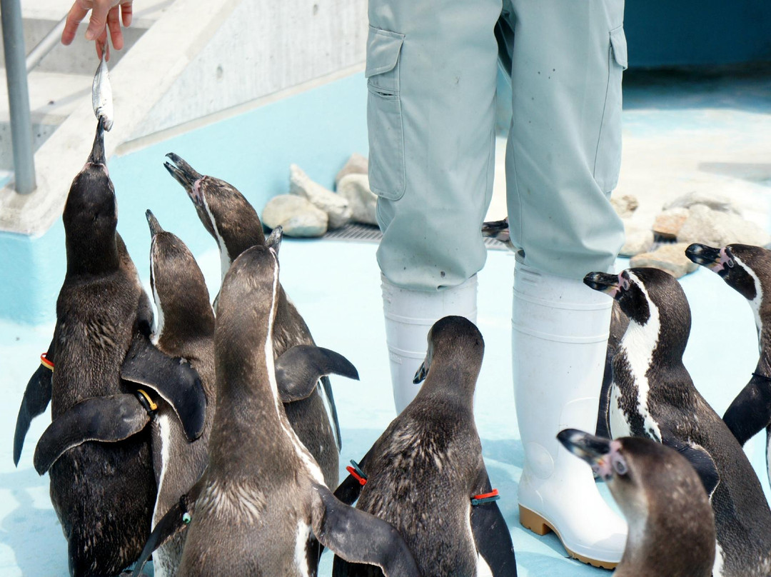 Suzaka City Zoo-须坂市必去景点