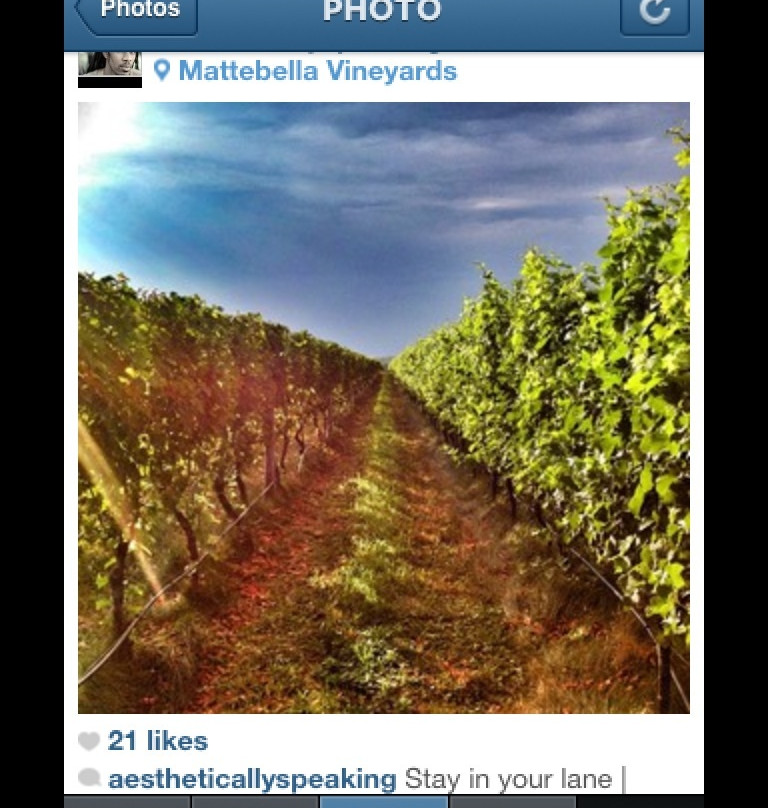 Mattebella Vineyards景点图片