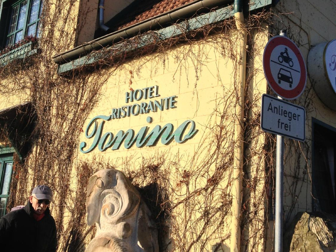 Bad Bentheim餐馆和美食-Hotel Ristorante Tonino