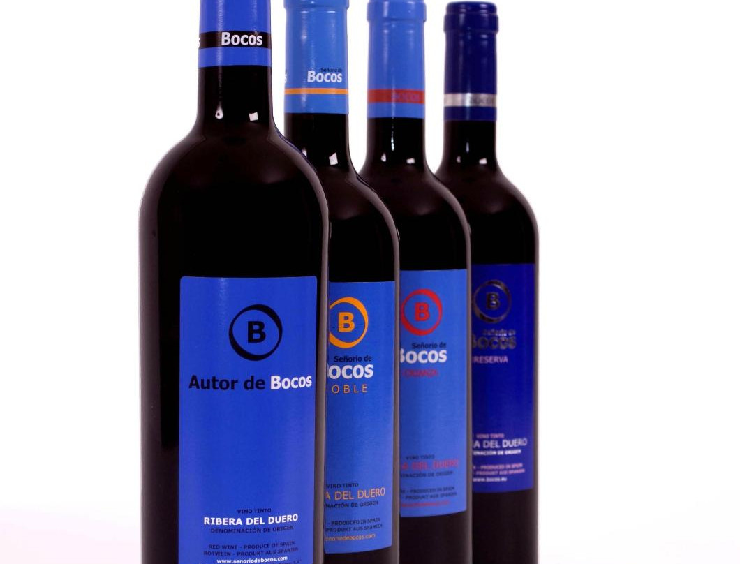 Bodegas y Vinedos Senorio de Bocos景点图片