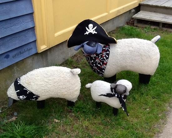 Spruce Top Rug Hooking Studio-Mahone Bay必去景点