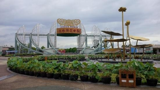 荷花奇境（三水荷花世界）-佛山市必去景点