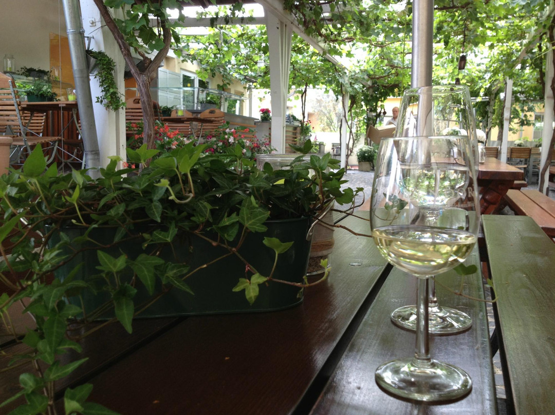 Weingut Fritz Allendorf-Oestrich-Winkel必去景点