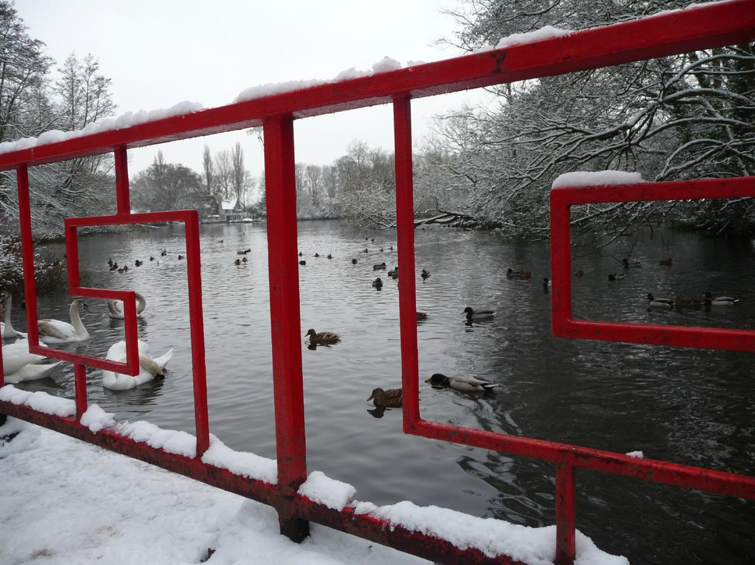 Radwell Lake景点图片