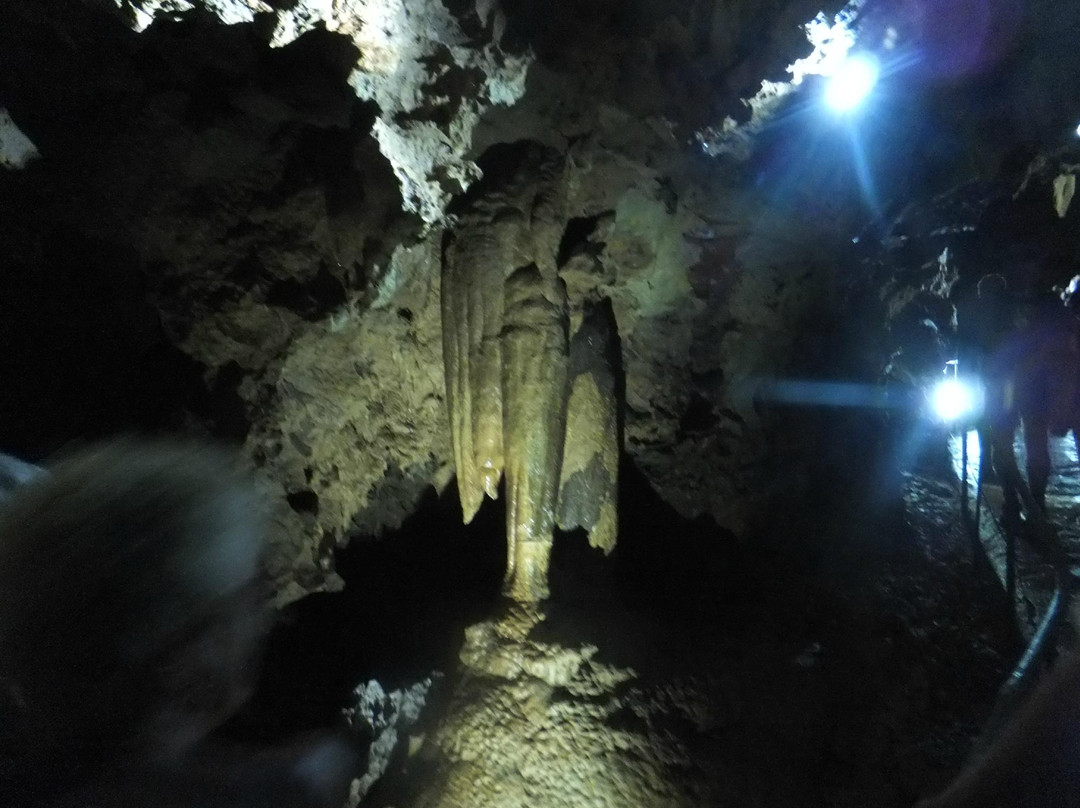 Grotte de Clamouse景点图片