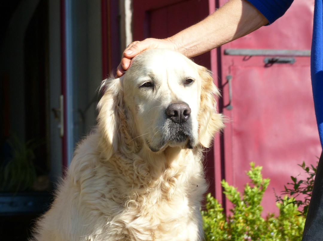 Domayne les Rues主图