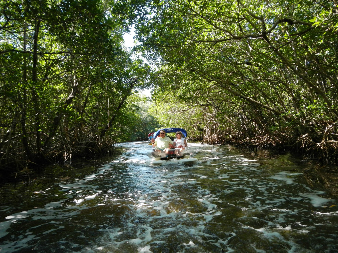 Backwater Adventure-Goodland必去景点
