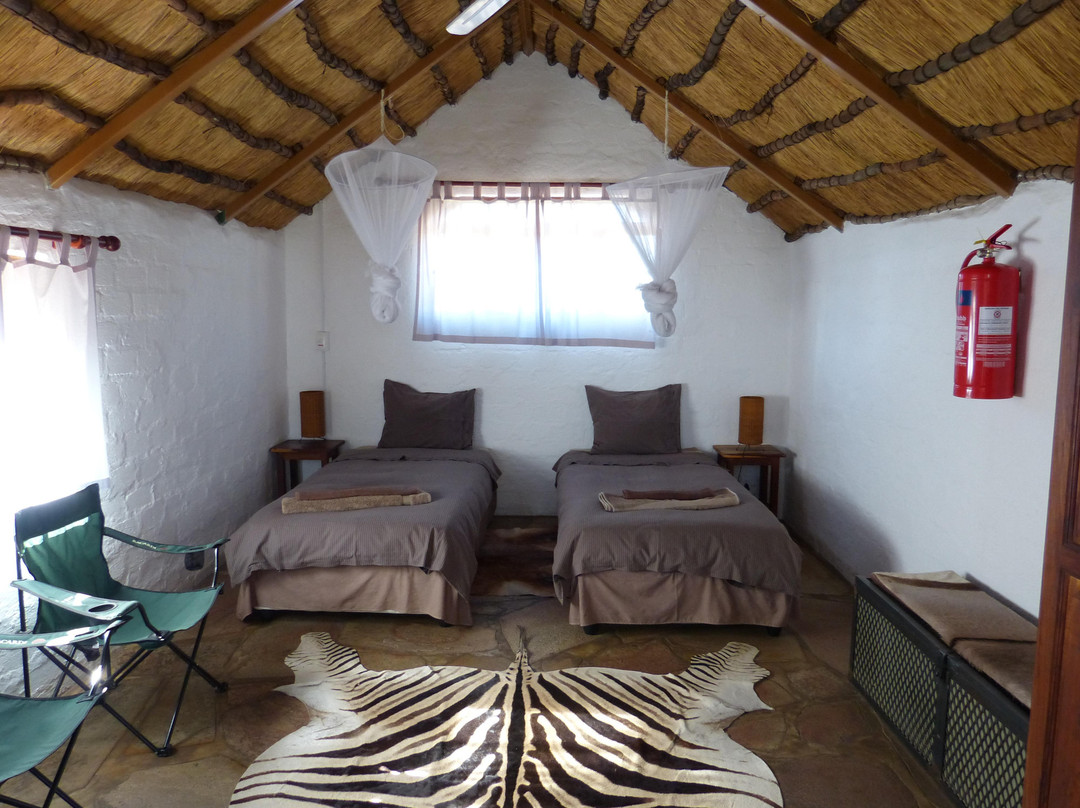 Bush Baby Safaris