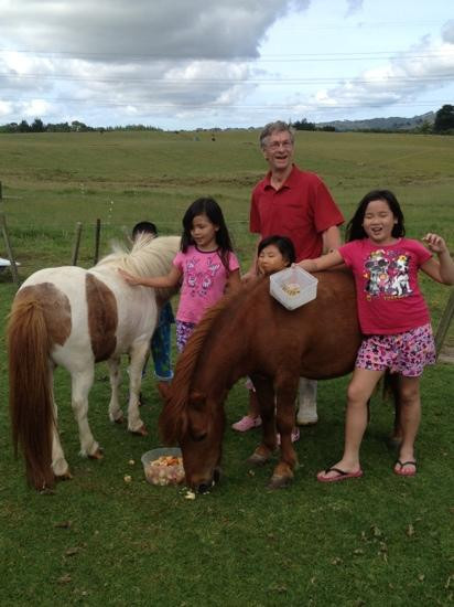 Pakinui Farmstay and B&B主图