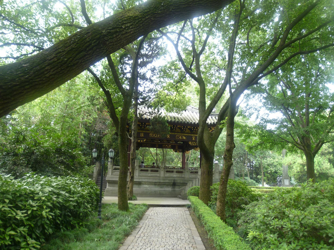 汇龙潭公园-上海市必去景点