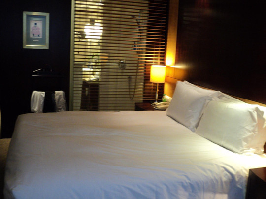 南京索菲特银河大酒店主图