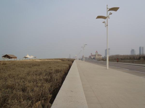 华安国际大酒店-客卧