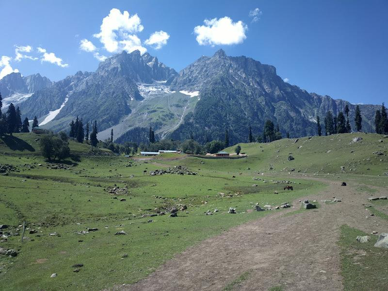 Thajiwas Glacier Sonamarg景点图片