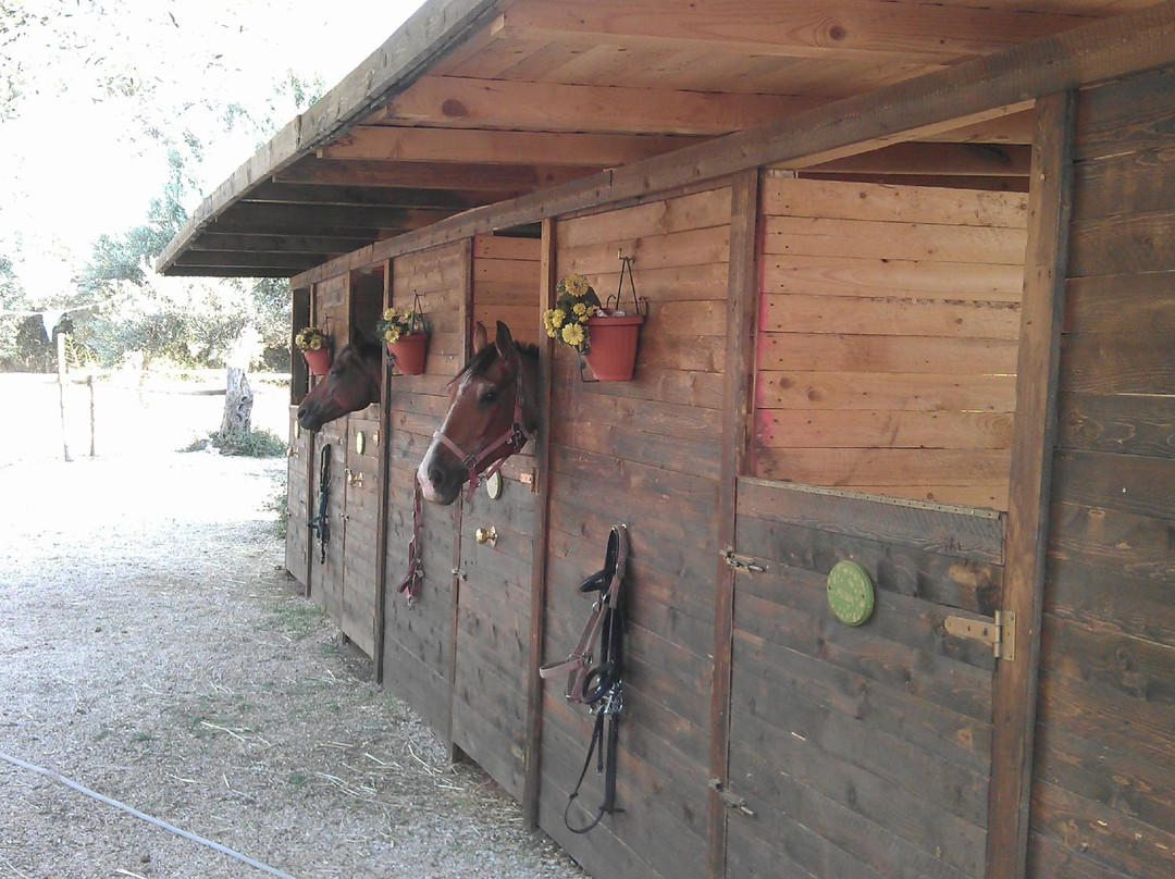 Ranch Capo Rama-Terrasini必去景点