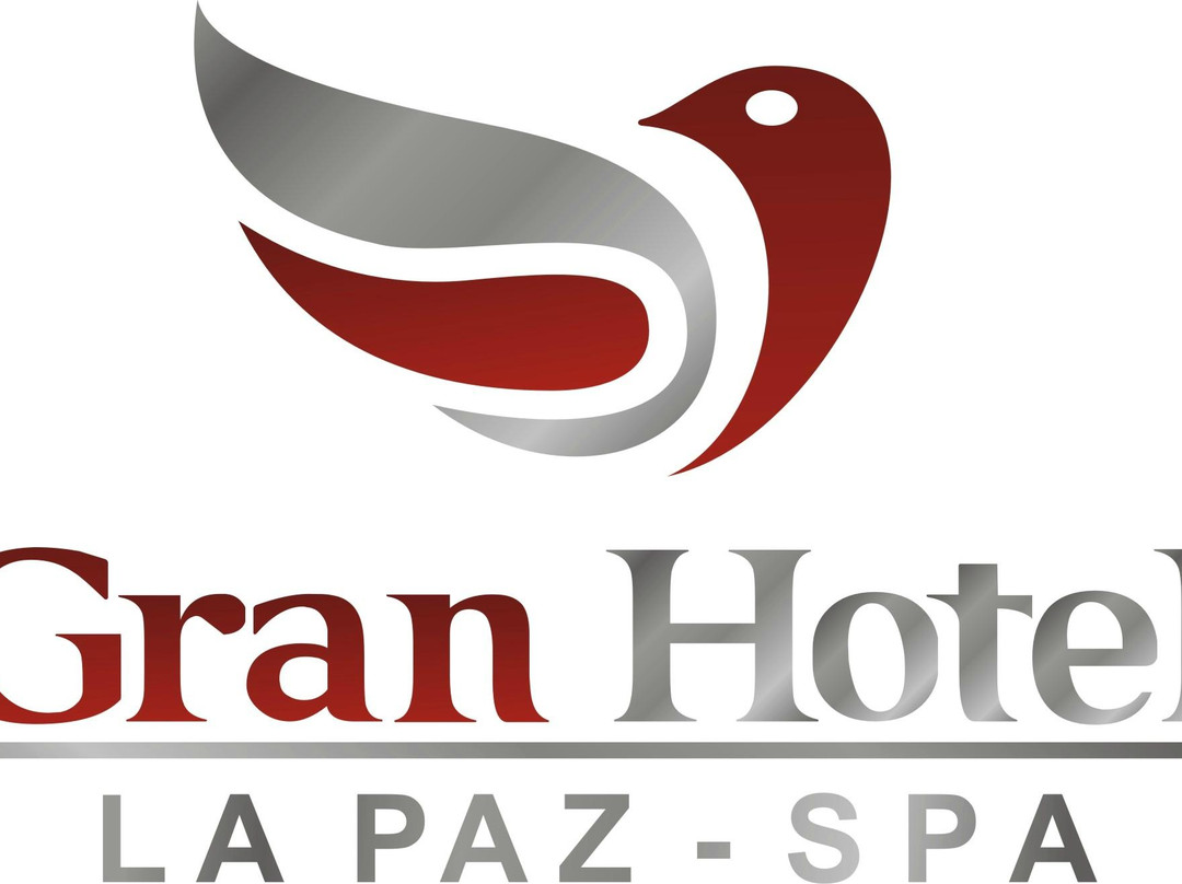 Gran Hotel La Paz Spa主图