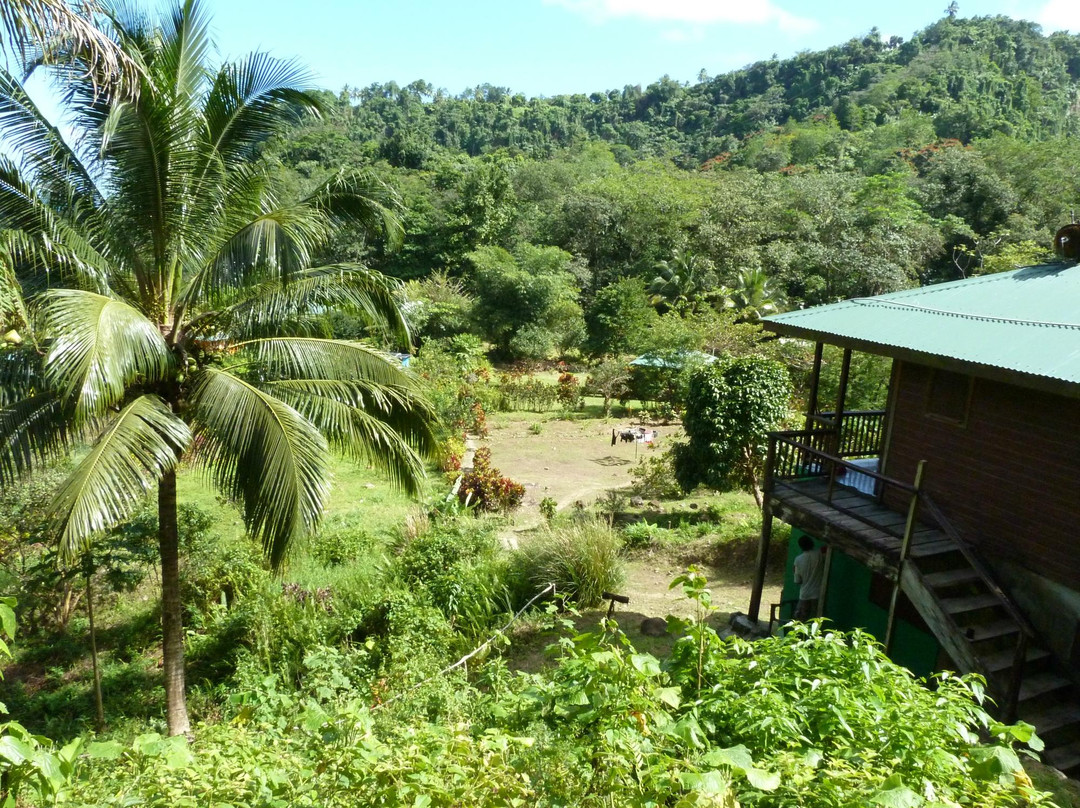3河流生态山林小屋