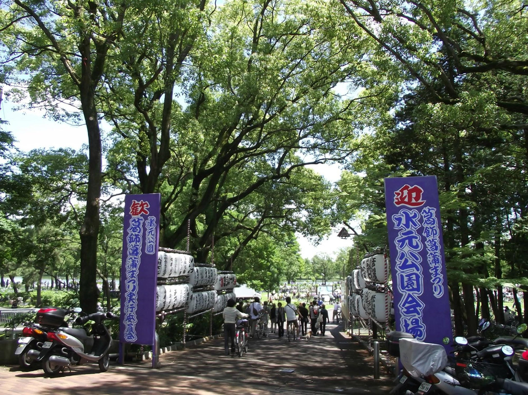 水元公园-葛饰区必去景点