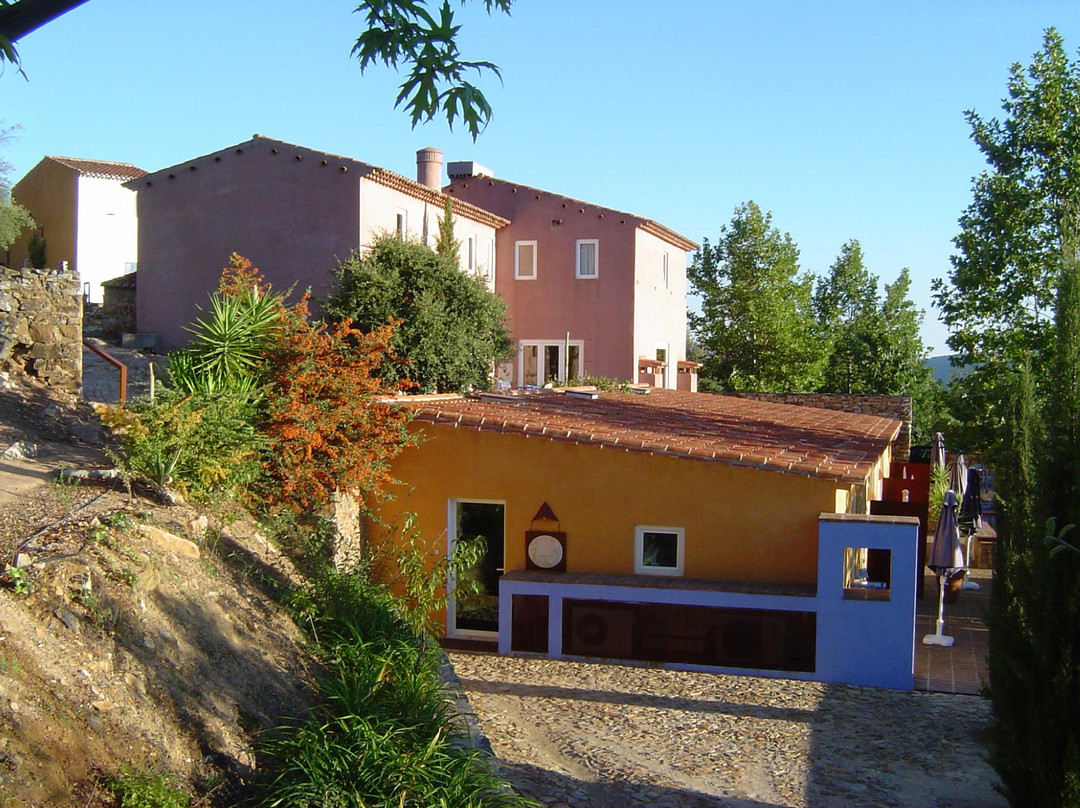 Quinta do Barrieiro - Art Selection by Maria Leal da Costa