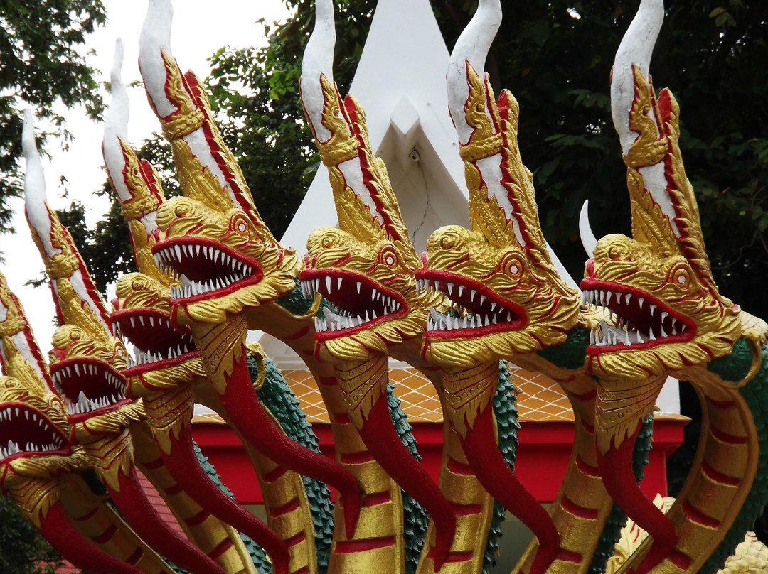 芭达雅公园塔-Nong Prue必去景点