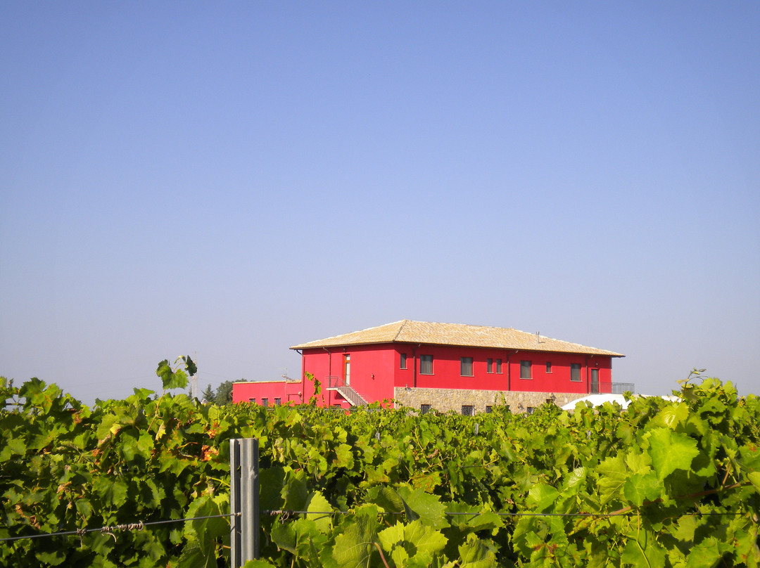 Porto Palo旅游景点-Tenuta dei Mille