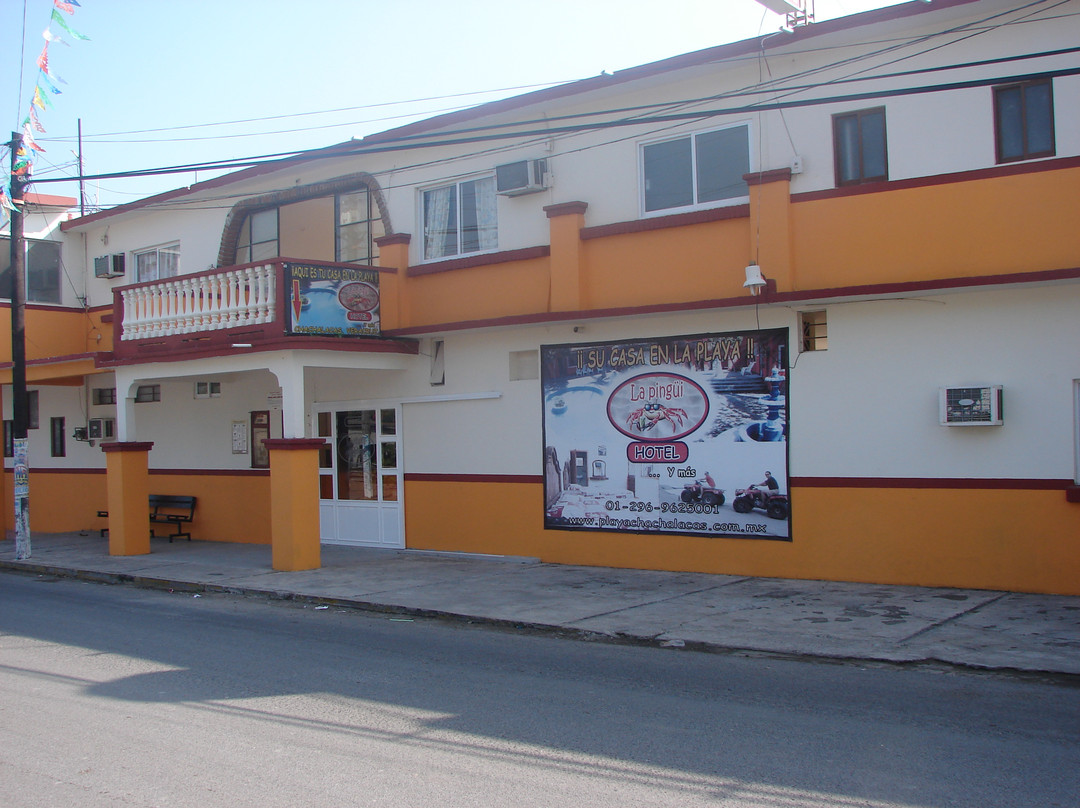 Hotel La Pingui主图