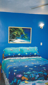 Playa Bonita Condo Suites主图