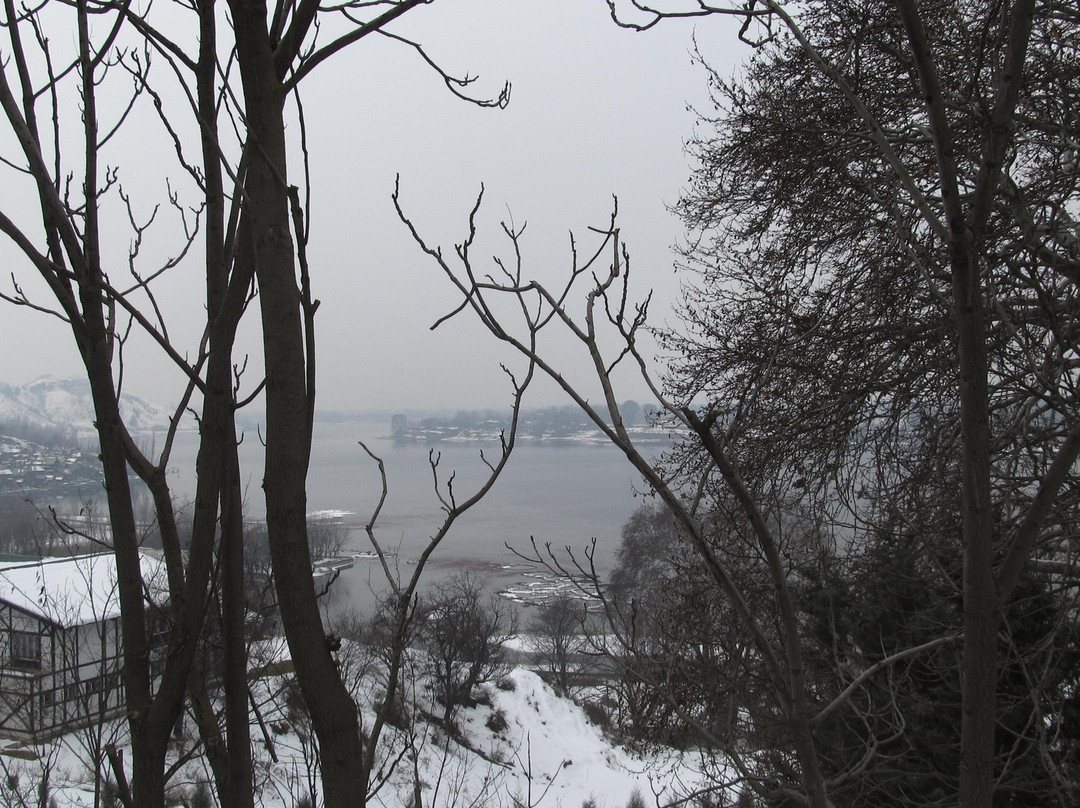 Manasbal Lake-斯利那加必去景点
