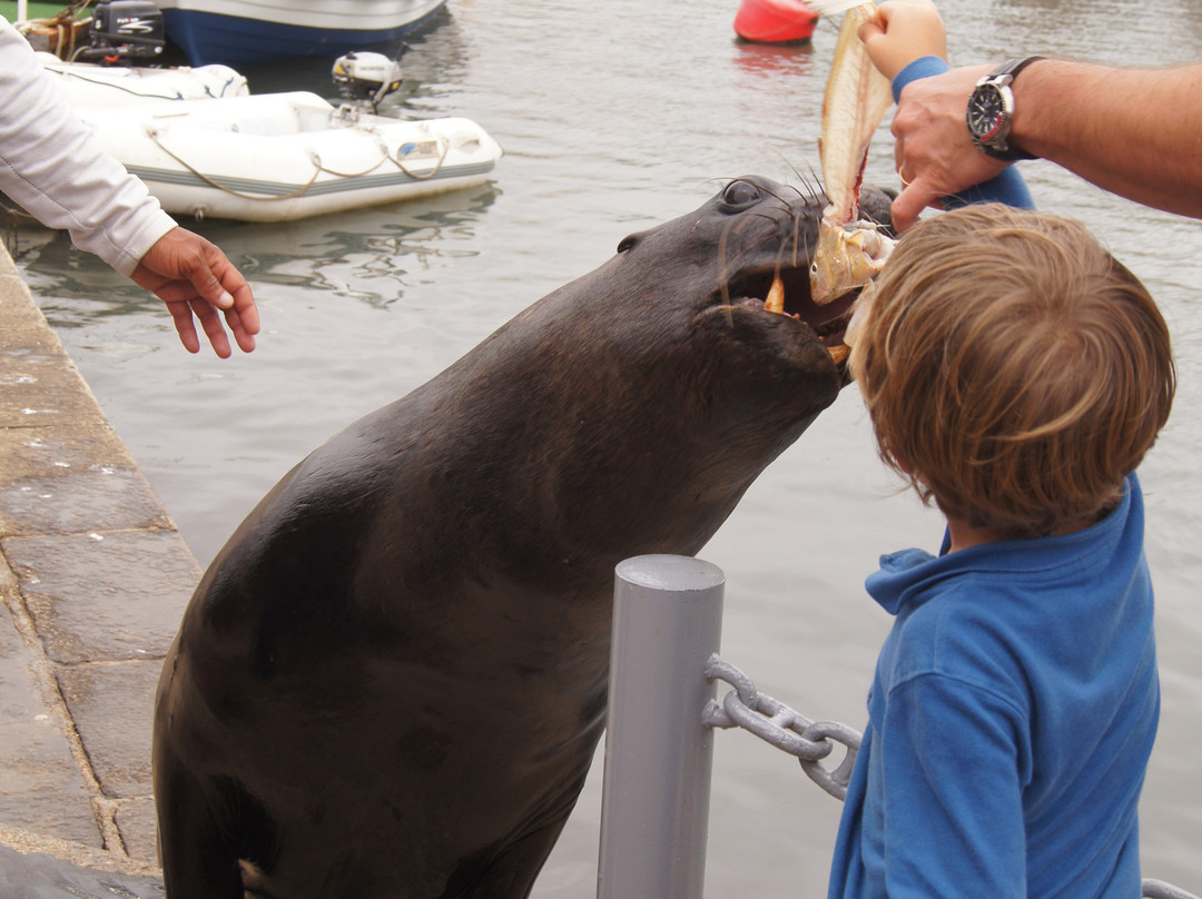波多黎各德埃斯特角城-埃斯特角城必去景点