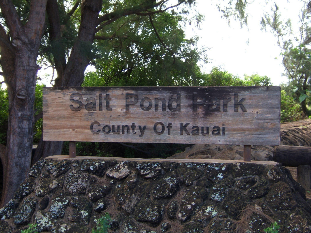 Hanapepe Salt Ponds-哈纳佩佩必去景点