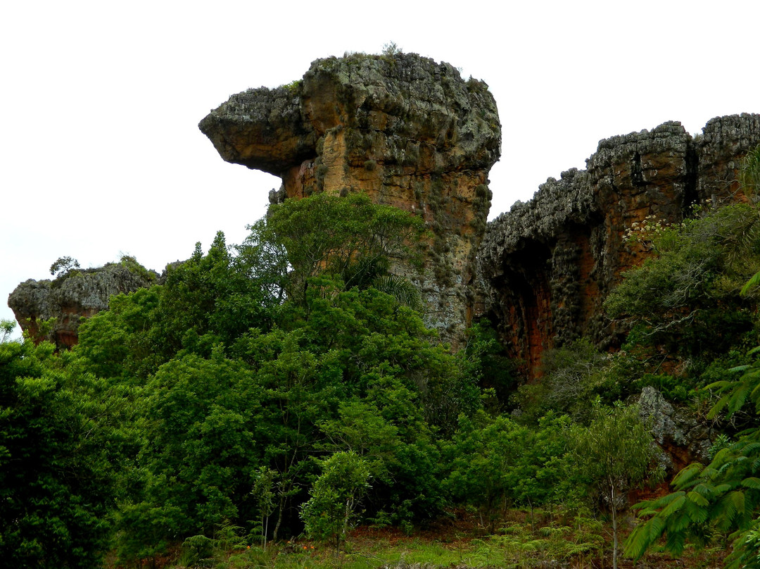 Parque Estadual de Vila Velha-Ponta Grossa必去景点