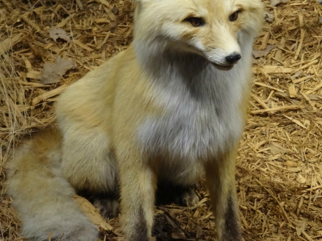 Cabela's-Richfield必去景点