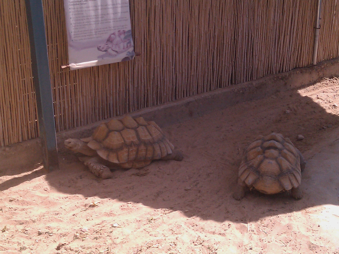 Underwater Observatory Marine Park-埃拉特必去景点
