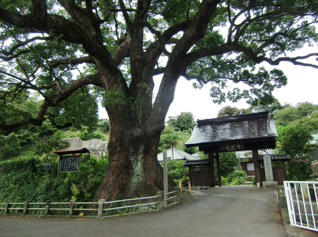 Anraku-ji Temple-伊豆市必去景点