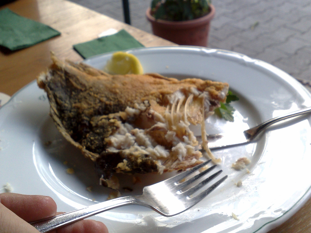 Die Fischerei