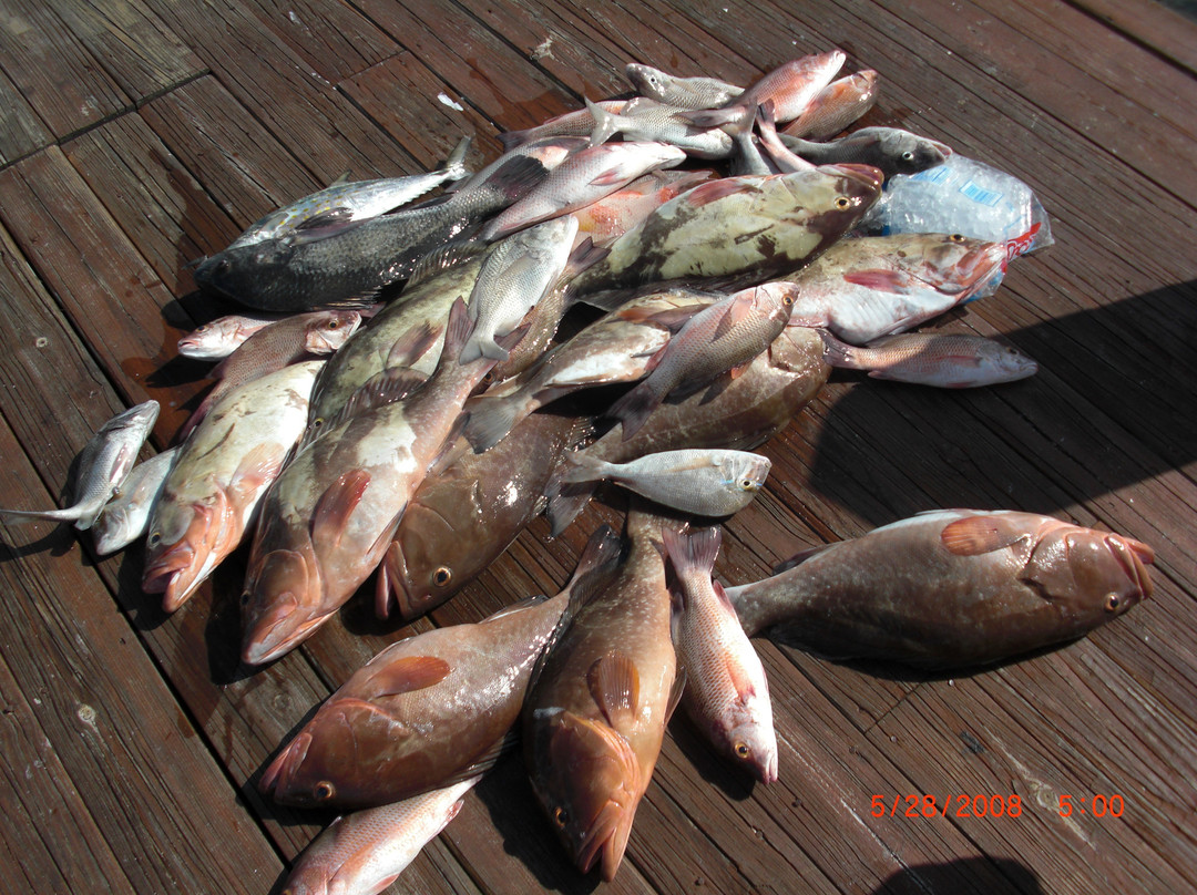 Paradise Fishing Charters-Don Pedro Island必去景点
