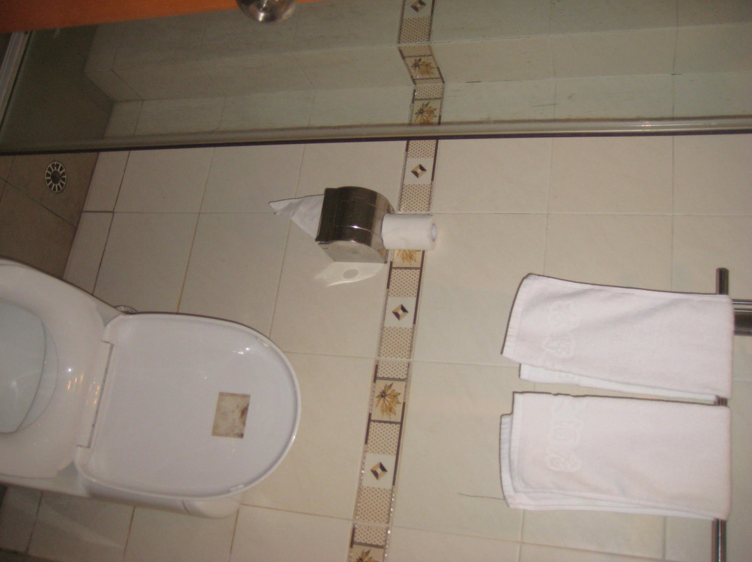 林野大酒店主图