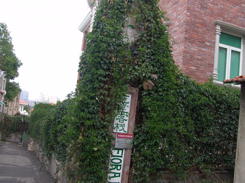 花堂咖啡家庭旅馆主图