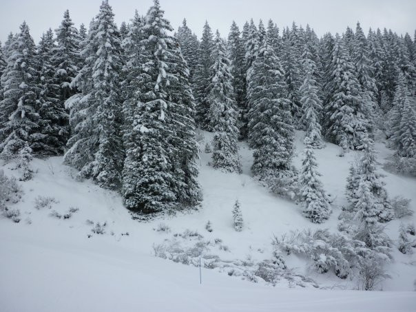 Mont d'Arbois Ski Area景点图片