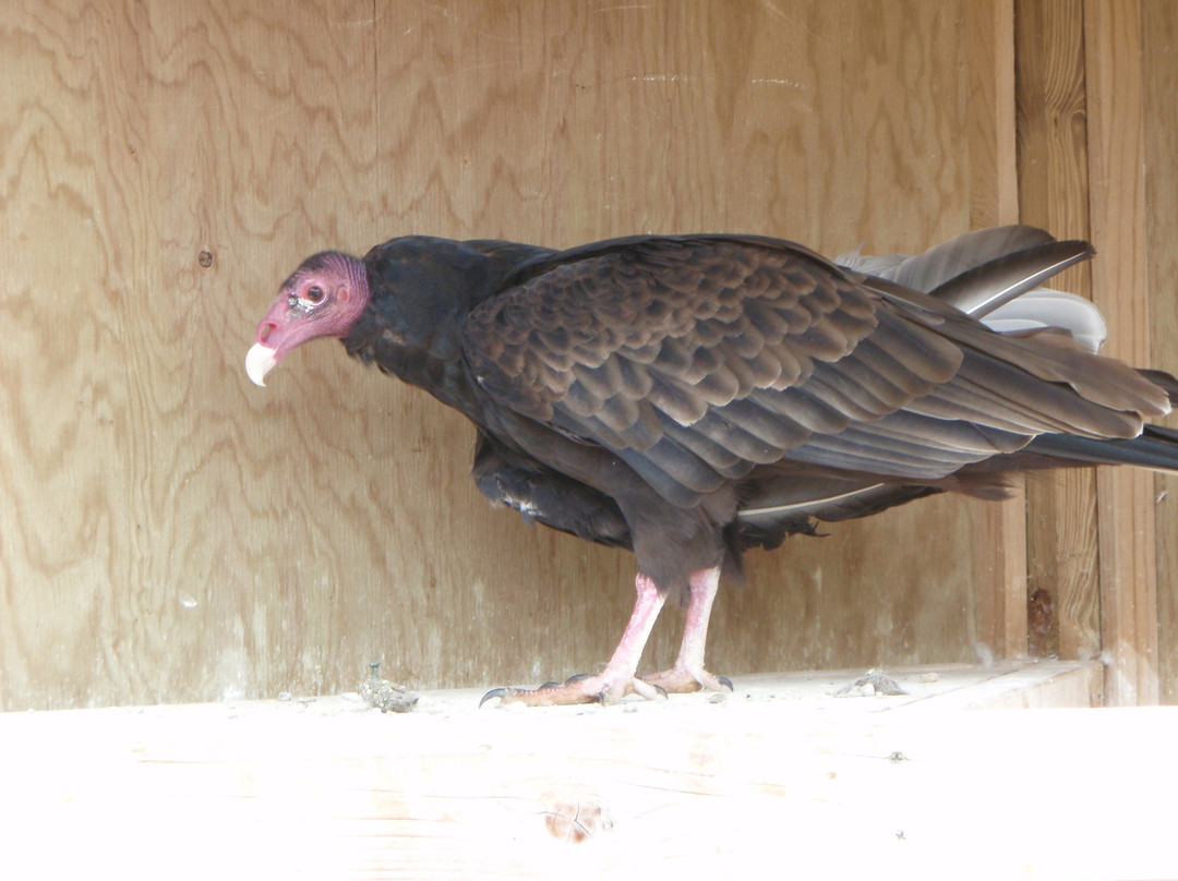 Outdoor Discovery Center-荷兰村必去景点