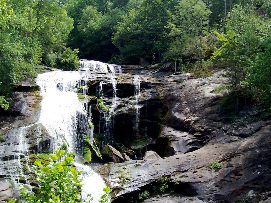 Cherokee National Forest-Elizabethton必去景点