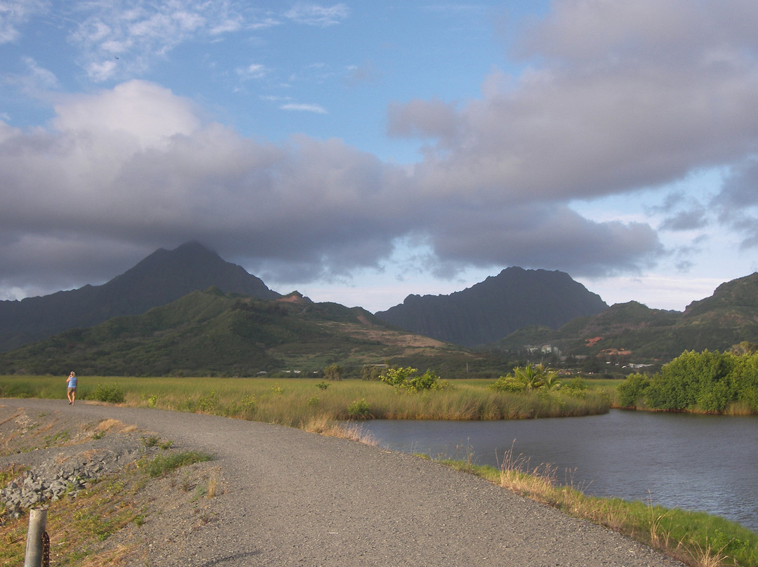 Kawai Nui Marsh自然保护区-科纳必去景点