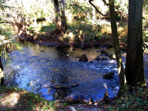 Hillsborough River State Park-Thonotosassa必去景点