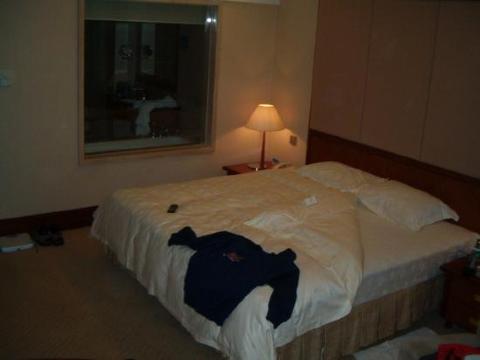 长安大酒店-客卧