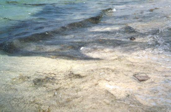 Club Paraiso Maya主图