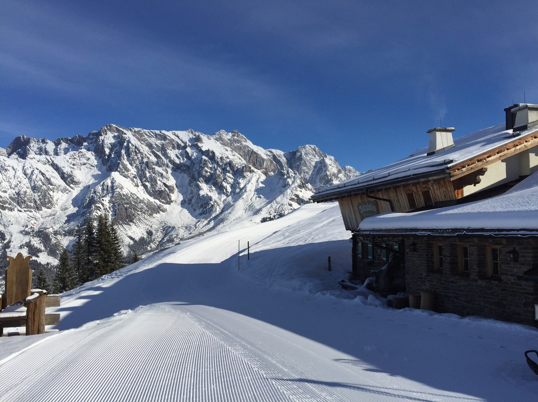 Dienten am Hochkönig餐馆和美食-Buerglalm
