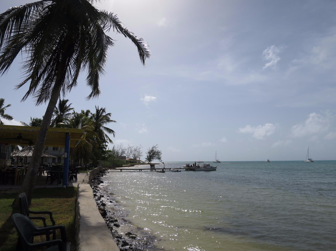 Anegada餐馆和美食-Pam's Kitchen