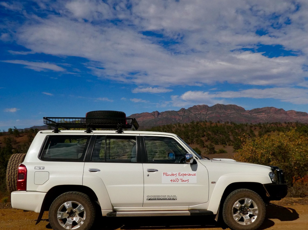 Flinders Experience 4WD Tours Day Tours景点图片